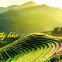 Giang Mai Chợ Miền Núi Tây Bắc Ở Đâu