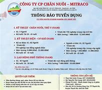 Mitraco Hà Tĩnh Tuyển Dụng