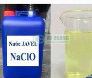 Nước Javen Có Môi Trường Gì