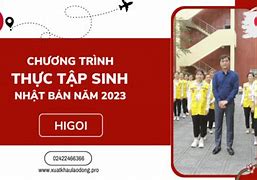 Thực Tập Sinh Hè 2023 Tại Tphcm Ở Đâu Bán