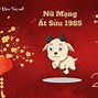 Tuổi Ất Sửu Nữ Năm 2023 Sao Gì