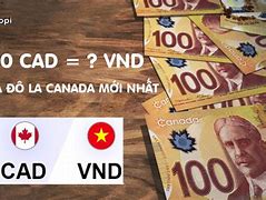 Tỷ Giá Đô Canada Và Việt Nam Đồng