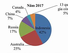 Xuất Khẩu Than Đá Của Việt Nam